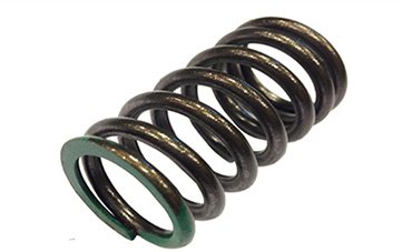 EX948 VALVE SPRING 3W4S CNG 205